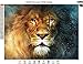 TSING DIY Crystals Paint Kit 5D Diamond Painting by Number Kits, The Lion - 15x19.7 inches