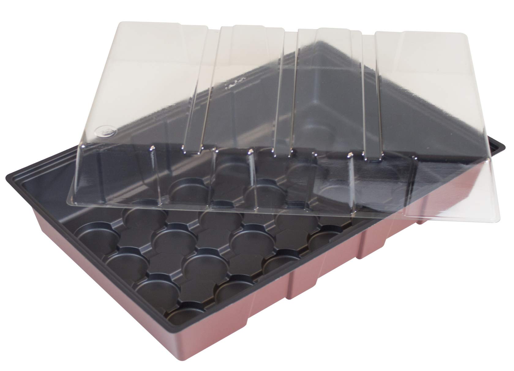 Windhager Maxi Indoor Greenhouse Windowsill Greenhouse Plant Propagation