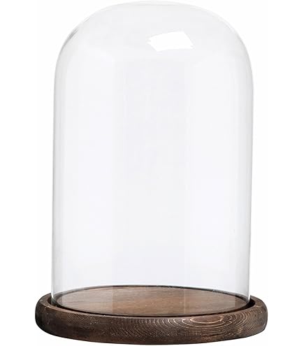 Pour Mariage Et événements Cloche En Verre Avec Base En MDF Noir - Dôme Décoratif Pour Centre De Table, Vitrine De Collection Dôme Verre Cloche Décorative