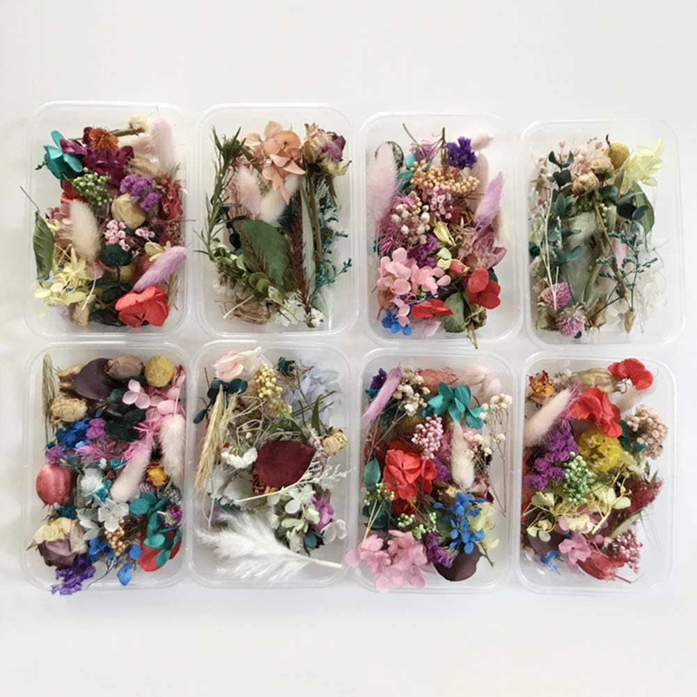 ywbtuechars Natural Dried Flower 1 Box Preserved Dried Flower Plant DIY Candle Resin Jewelry Making Craft Decor