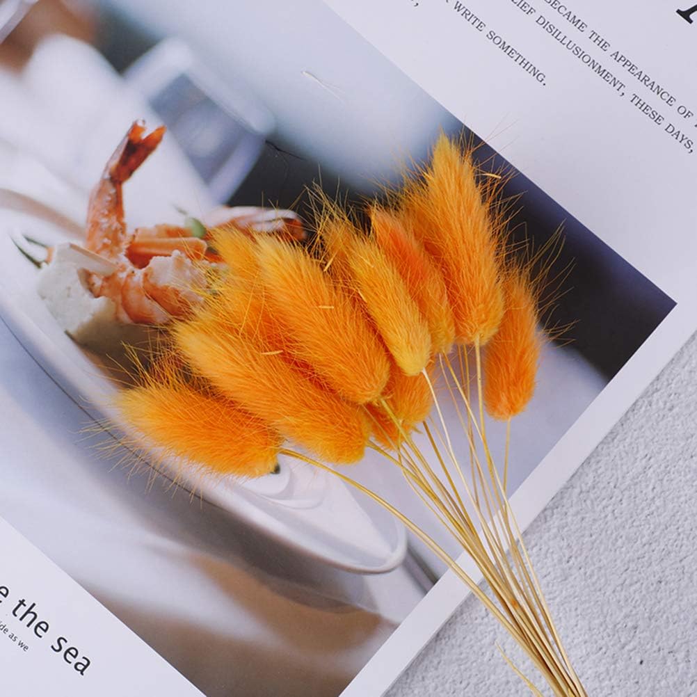 20 Pcs Natural Dried Lagurus Ovatus Flowers Artificial Uraria Picta Bunny Rabbit Tail Grass Bouquet Colorful Lagurus Plant Stems Real Flower Bouquet Bunches for Home Wedding Decoration Shooting Props