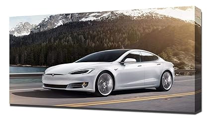 Amazoncom Lilarama Usa 2017 Tesla Model S P100d V8