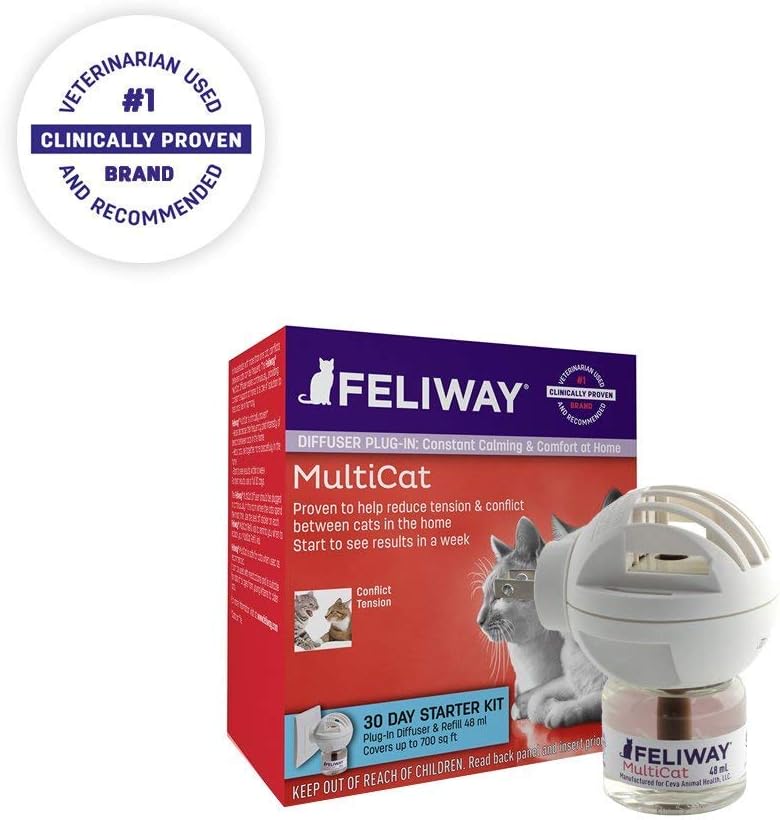 feliway multicat starter kit