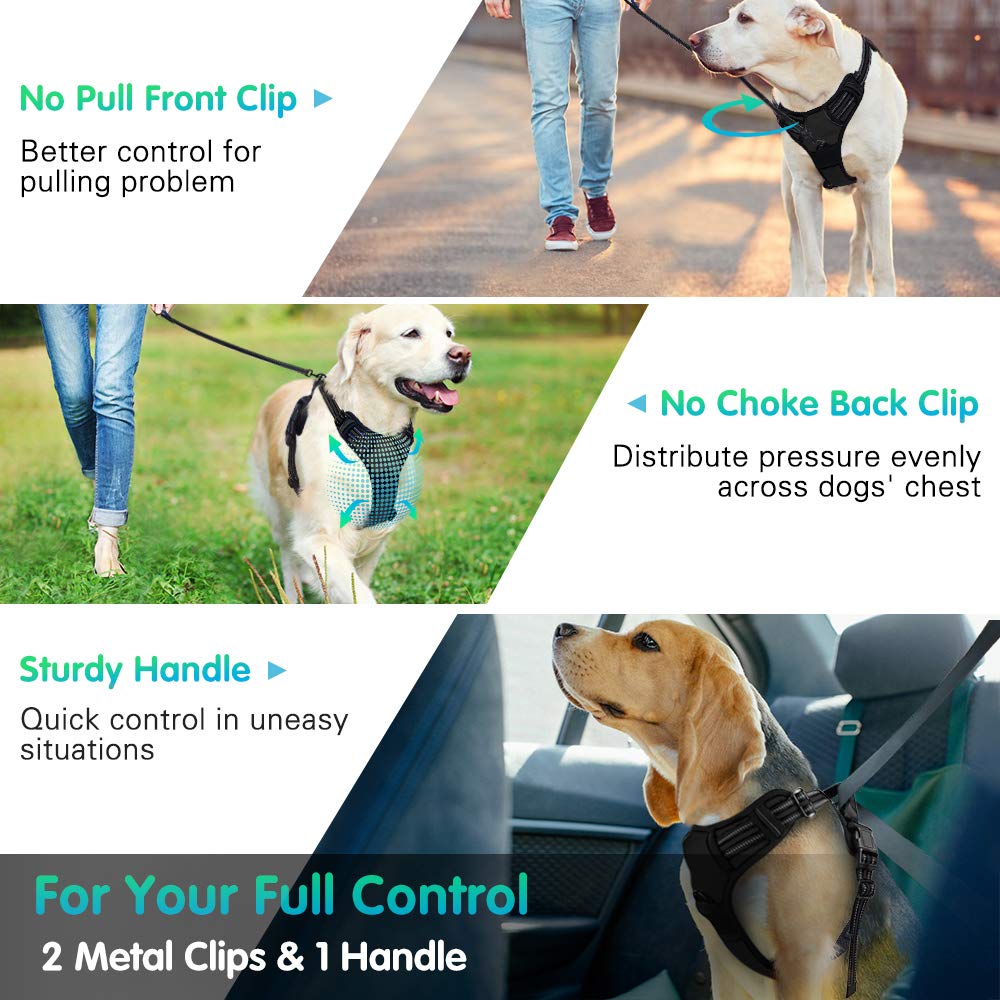 Eagloo Dog Harness No Pull, Walking Pet Harness with 2 Metal Rings and
