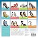 Shoes 2017 Wall Calendar