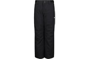 Quiksilver boys Heavyweight Ski Snow Estate Pant, Insulated & Waterproof