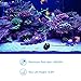400GPH Ultra Quiet 1500L/H 25W Submersible Water Pump with 6.6ft High Lift for Fountains, Hydroponics, Ponds, Aquariums, Fish Tank