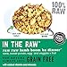 I and love and you Stir & Boom Dehydrated Freeze Dried Raw Dog Food, Lamb, 5.5-Pound Bag