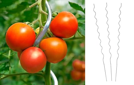 10 Stück Tomatenspiralstab 180cm Tomaten Spiralstab Pflanzstab Pflanzspiralstab