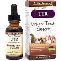 Amazon.com : Amber NaturalZ Adizone C Herbal Supplement for