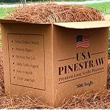 USA Pine Straw - Premium Pine Needle Mulch - Covers 300 Sqft