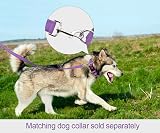 Taglory Dog Lead Reflective Double Sided 2 cm x 120 cm Purple view 4