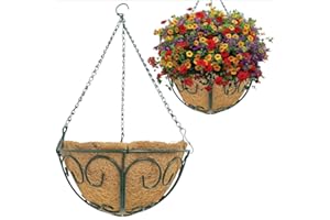 THIKDIKAKT 2 Pack Metal Hanging Planter Basket with Coco Liner Chain Round for Outdoor Garden Decoration Porch (12in Butterfly Shape Green)