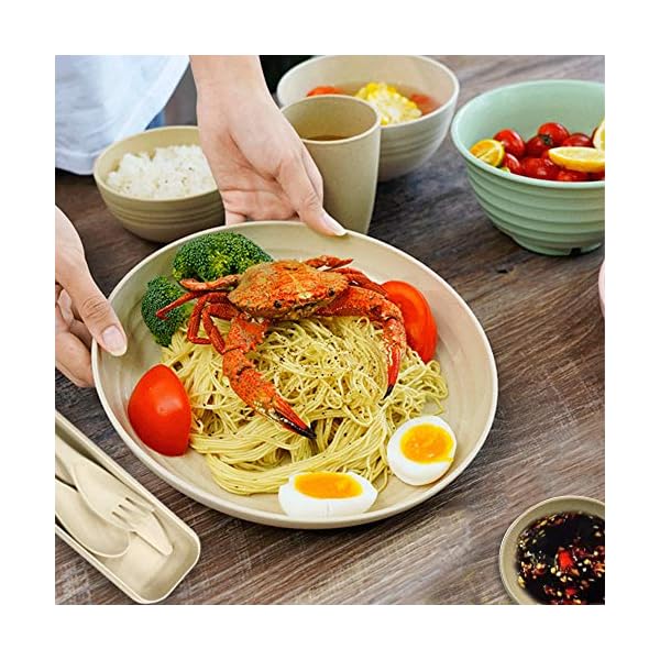 20-Pieces-Wheat-Straw-Dinnerware-Sets-Lightweight-Plates-Bowls-Spoon-and-Fork-Set-Unbreakable-Tableware-Set-for-Picnic-Party-BBQ-Wedding-Camping-B6 20 Pieces Wheat Straw Dinnerware Sets, Lightweight Plates Bowls Spoon and Fork Set, Unbreakable Tableware Set for Picnic Party BBQ Wedding Camping (B6)