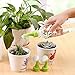Windspeed Mini Hand Hose Nozzle, Portable Watering Sprinkler Plant Bottle Waterer Spout Adapter Garden Tools, 4 pcs