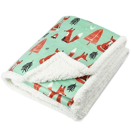 BORITAR Sherpa Decke Super Weich Warm | Ultra luxuriöse Kuschel Lammflor Kuscheldecke für Baby Kinder,Minky-Decke mit Sherpa-