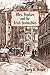 Mrs. Hudson and the Irish Invincibles: Second in the Mrs. Hudson of Baker Street Series