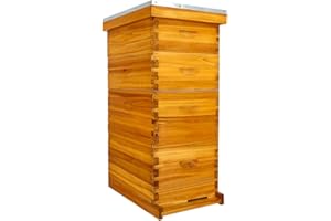 Honey Lake 8 Frame Bee Hive Dipped in Beeswax, Langstroth Complete Beehives Starter Kit Includes 2 Deep Brood Box and 2 Medium Super Box with Beehive Frames and Waxed Foundation Sheet