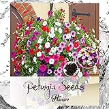 Petunia Seeds - Petunias Flower Seeds for Planting