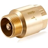 Zonon 1 Pcs 1 Inch Check Valve, One Way Spring Brass Check Valve | Non Return in Line, Backflow Prevention, NPT Male in FNPT out Thread for Garden Hose Well Pump Irrigation Chemical Industry