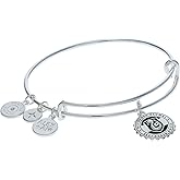 Alex and Ani Harry Potter Slytherin House Pendant Necklace, Adjustable