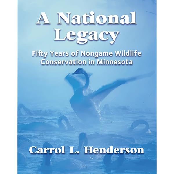 River, Coastal and Estuarine Morphodynamics: Proceedings of the