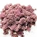 Dusty Rose Reindeer Moss Preserved Floral Moss for Fairy Gardens, Terrariums, or Any Craft or Floral Project (Dusty Rose)