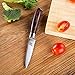 Zaang Paring Knife 3.5 Inch High Carbon Stainless Steel Razor Sharp Blade,Professional Quality Kitchen Knife With Ergonomically Wood Handle