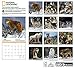 National Geographic Wolves 2017 Wall Calendar
