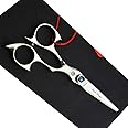 Purple Dragon 5.0 inch 440C Sliver Salon Hair Cutting Scissors Barber Shears with Bag- Perfect for Professional Hairdresser