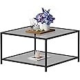 SAYGOER Modern Coffee Table 2-Tier Glass Coffee Tables with Storage Simple Square Center Table for Living Room Home Office, 26.7 x 26.7 x 15.7 Inches, Gray Black