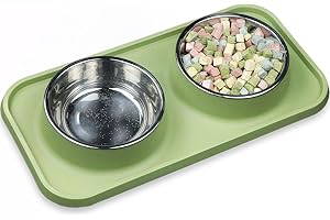 Gentledog Waterproof Cat Food Bowls, Removable Stainless Steel Pet Double Bowls Set, Non-Skid and Non-Spill Raised Edge, Food and Water Feeder for Cat and Puppy(Green)
