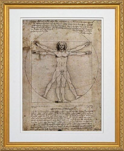 The Vitruvian Man by Leonardo da Vinci. Framed Art Print Poster. Custom Made Real Wood Traditional Gold Frame (18 1/8 x 22 1/8)