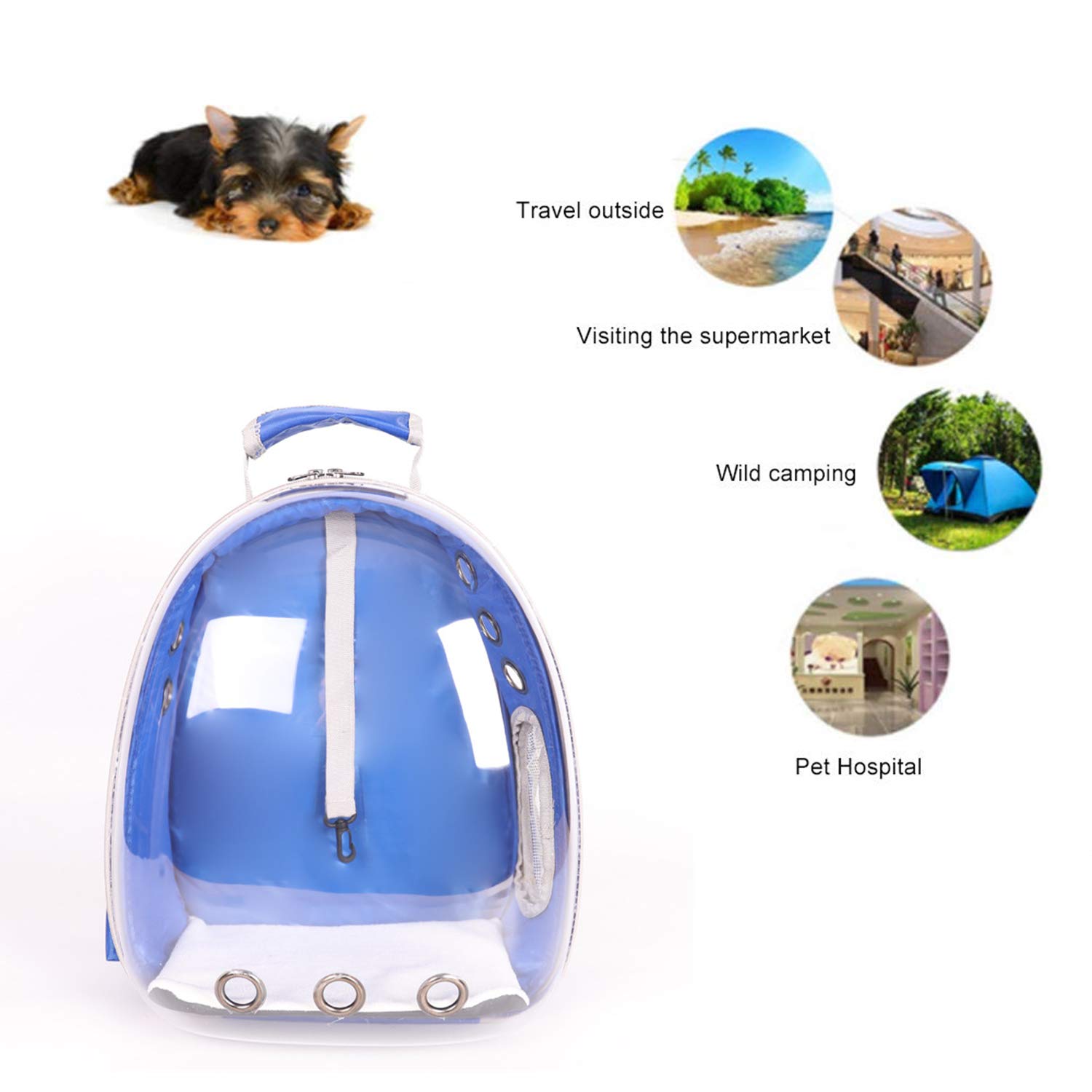 pet supermarket cat carriers