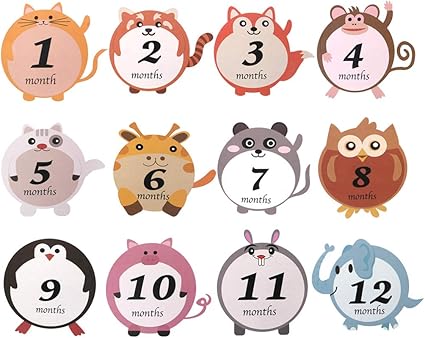 Chiic 12 Piece Milestone Baby Cards Cartes Etapes Bebe Carte Souvenir Ma Premiere Annee Accessoire Bebe Photographie Pour Bebe 1 12 Mois Animal De Dessin Anime Mignon Amazon Fr Cuisine Maison