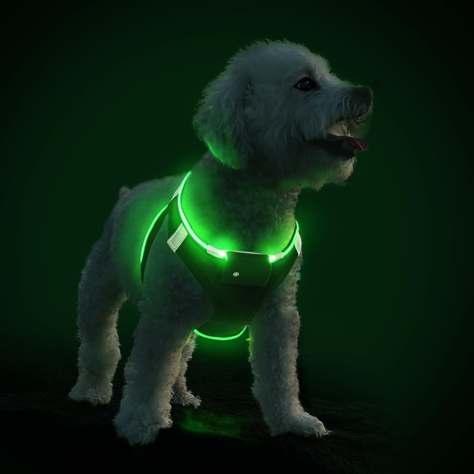 Light Up Dog Harness with Rechargeable LED - Waterproof Reflective Dog Harness Glow in the Dark - Flashing Harness for Puppy Small Medium Dogs Walking in Light, Black Green-S