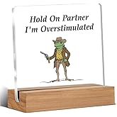 Caution Overstimulated Desk Sign, Hold On Partner I'm Overstimulated Acrylic Plaque Gifts for Coworkers Friends, Funny Office Desk Decor