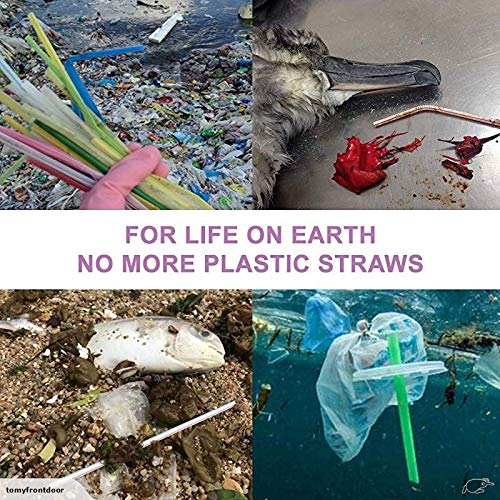 Topgogo Reusable Straws Collapsible,304 Stainless Steel Telescopic Drinking Straw Food-Grade design,Portable Set Hard Case with Cleaning Brush keychain for Travel,Outdoor,Party