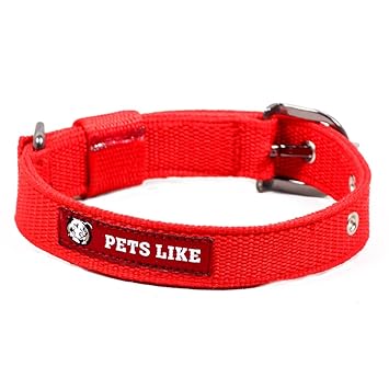 Pets Like Poly Collar, Red (25mm)