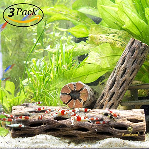 SunGrow 3 Cholla Wood Pieces for Shrimp - Natural, Thorn-Free 6â€ dried husk of Cholla cactus - Excellent Food Source, Protective Hideout - Organic Decoration by For dwarf shrimp, hermit crabs, pleco