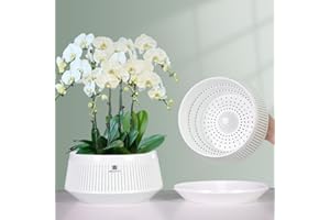 Meshpot 8 inch Orchid Pots with Holes for Repotting,Set of 1,Decorative African Violet Pots with Air-Pruning and Good Air Circulation,Plastic White Orchid Planter with Saucers