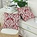 Pack of 2 CaliTime Cushion Covers Throw Pillow Cases Shells, Vintage Damask Floral, 18 X 18 Inches, Burgundy