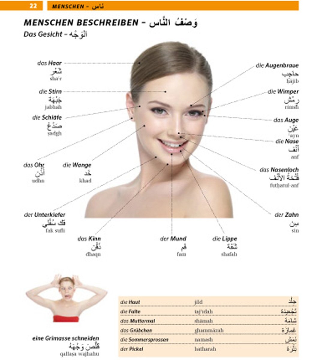 Pons Bildwörterbuch Arabisch 12500 Begriffe Und - 