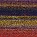 Lion Brand Yarn 825-203U Amazing Yarn, Wildflowers