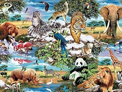 howard robinson puzzles