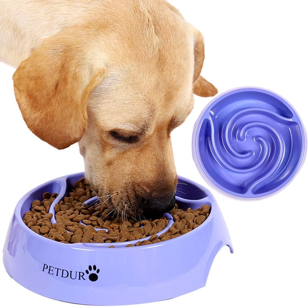 sturdy dog bowls