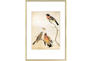 BKABOT 8x12 Picture Frame, Brass Metal Photo Frames with HD Glass, Fits 6x8 with Mat or 8 x 12 without Mat, Display for Wall and Table, 1 Pack