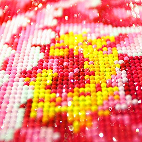 DIY 5D Diamond Painting Kit, Crystal Rhinestone Paint with Diamonds