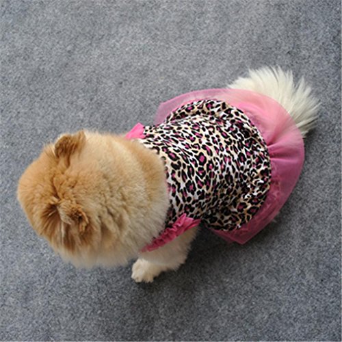 Fabal Summer Casual Pet Dog Clothes Puppy Apparel for Small Dogs Leopard Print (S, Pink)
