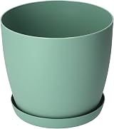 B2C Flower Pots 8 Sizes 6 Colours Matt Plastic Planter with Saucer Green 12 cm